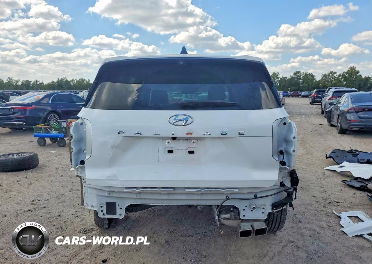 2024 Hyundai Palisade Calligraphy VIN:KM8R74GE1RU802036 - 6