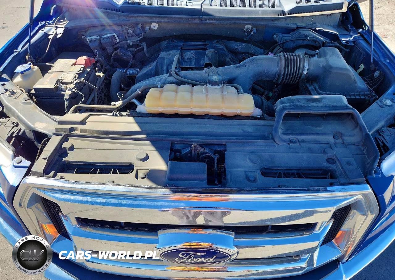 2017 Ford F150 Supercrew VIN:1FTEW1EP3HKD18663 - 11