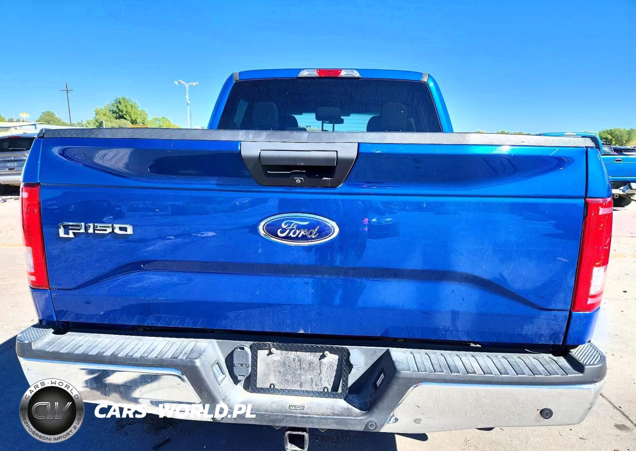 2017 Ford F150 Supercrew VIN:1FTEW1EP3HKD18663 - 6