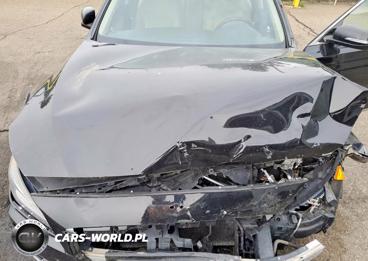 2017 Genesis G80 3.8 VIN:KMHGN4JE4HU178219 - 11
