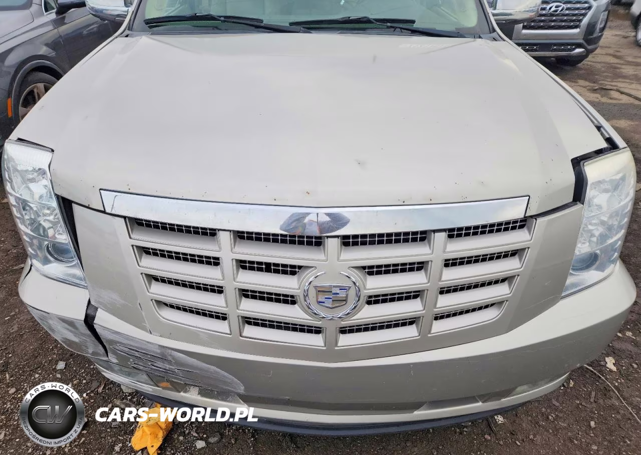 2009 Cadillac Escalade Luxury VIN:1GYFK23239R289018 - 12