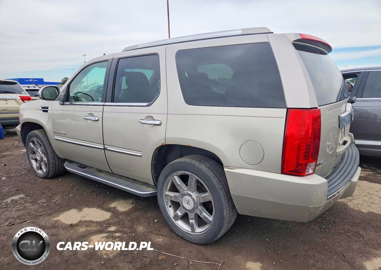 2009 Cadillac Escalade Luxury VIN:1GYFK23239R289018 - 2