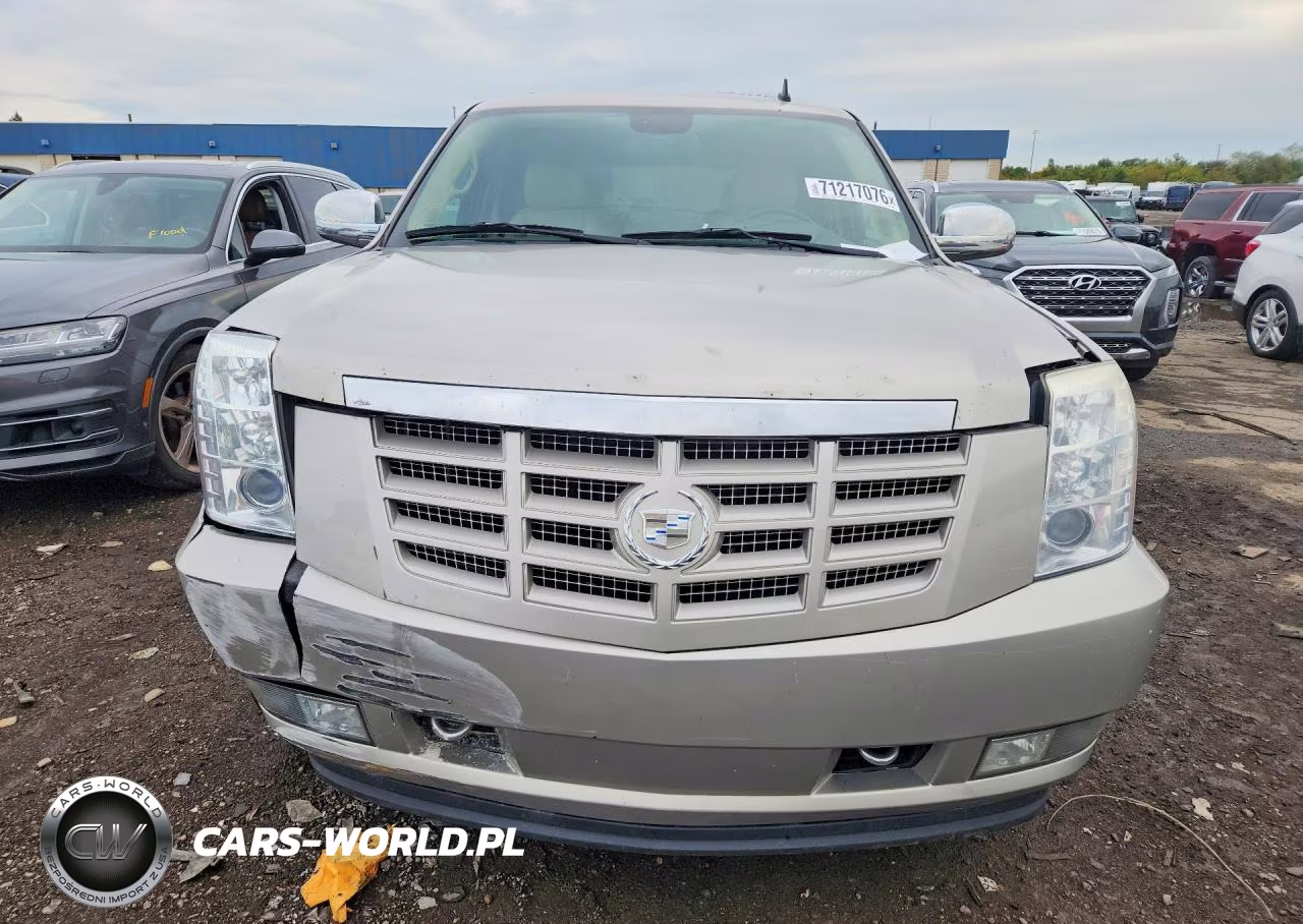 2009 Cadillac Escalade Luxury VIN:1GYFK23239R289018 - 5