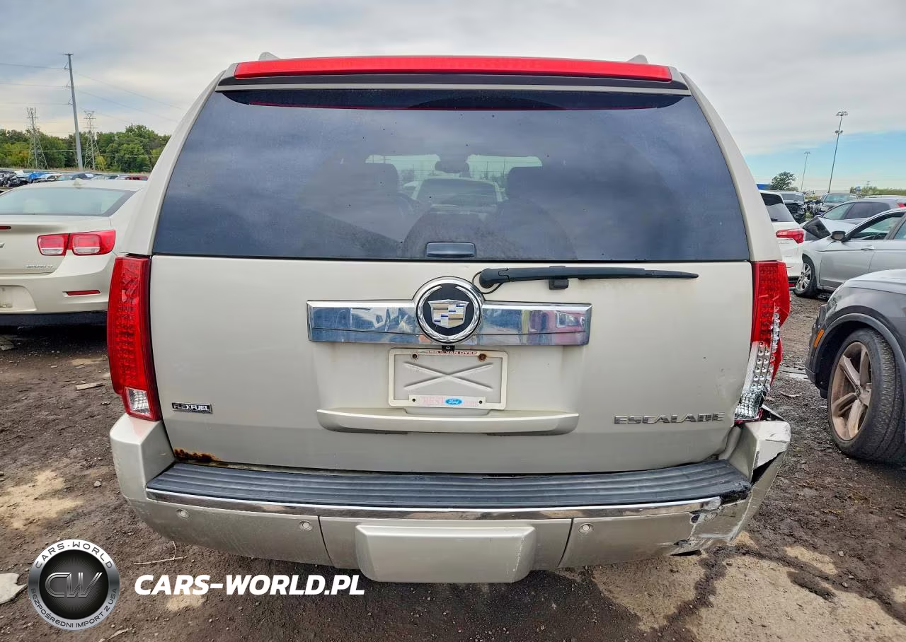 2009 Cadillac Escalade Luxury VIN:1GYFK23239R289018 - 6