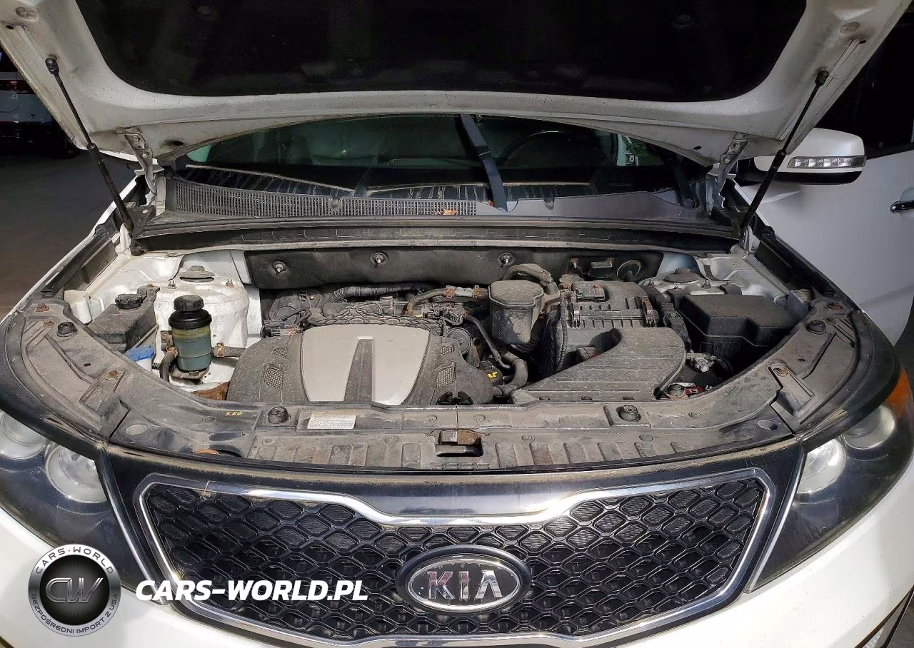 2012 Kia Sorento Sx VIN:5XYKWDA28CG269621 - 12