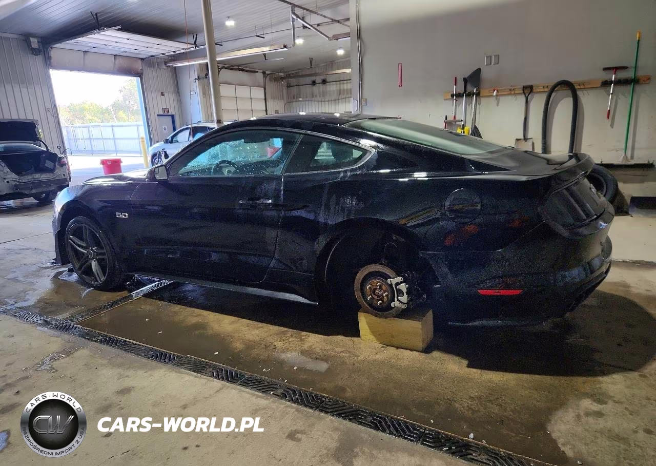 2018 Ford Mustang Gt VIN:1FA6P8CF8J5120255 - 2