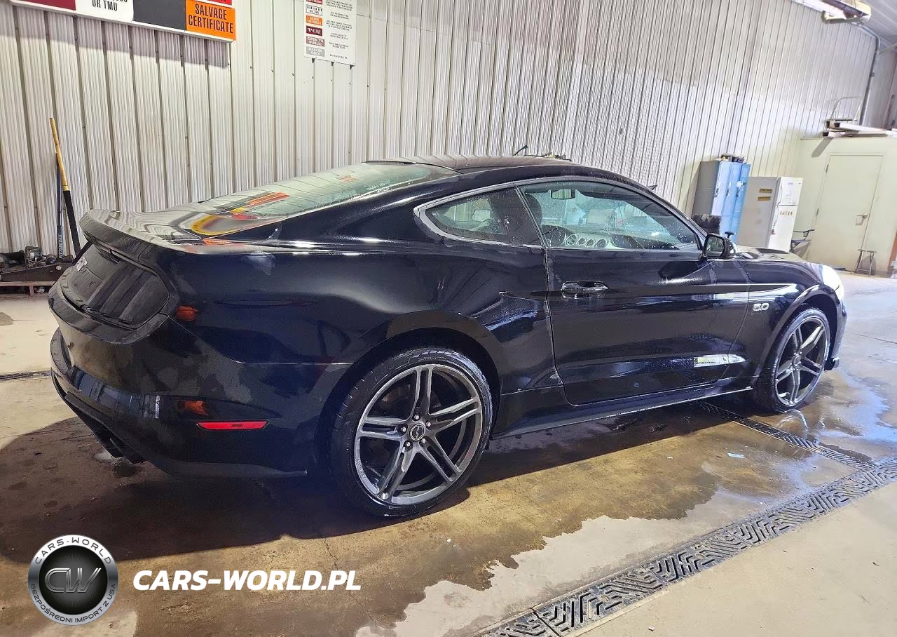 2018 Ford Mustang Gt VIN:1FA6P8CF8J5120255 - 3