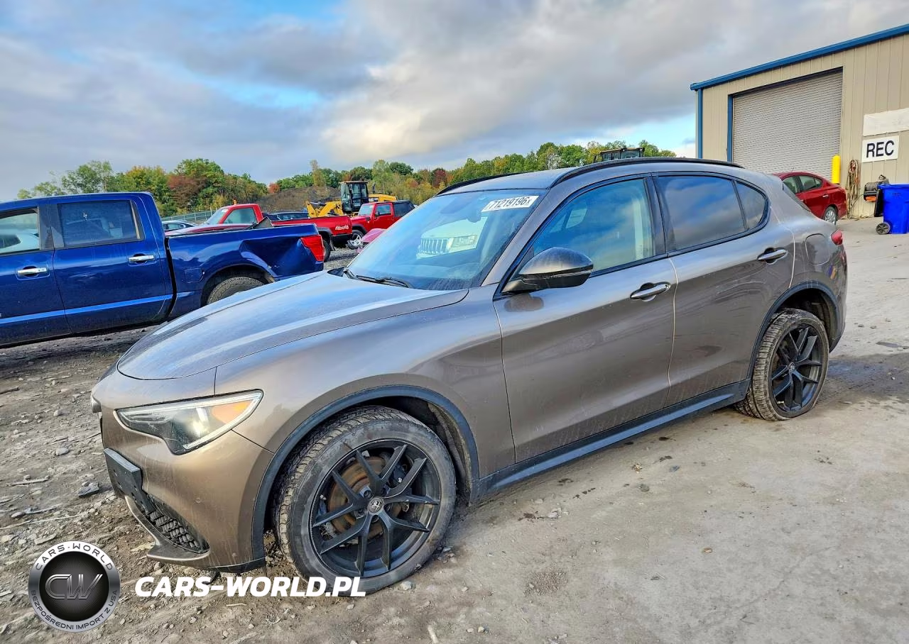 2019 Alfa Romeo Stelvio VIN:ZASPAKAN5K7C55925 - 1