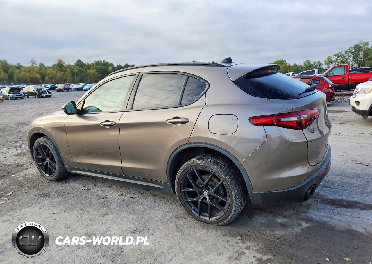 2019 Alfa Romeo Stelvio VIN:ZASPAKAN5K7C55925 - 2