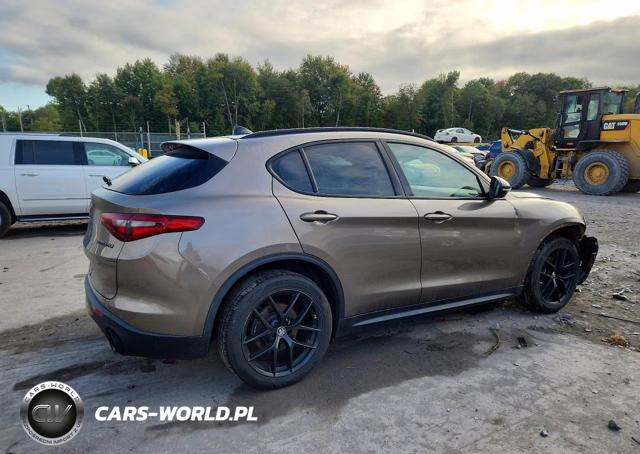 2019 Alfa Romeo Stelvio VIN:ZASPAKAN5K7C55925 - 3