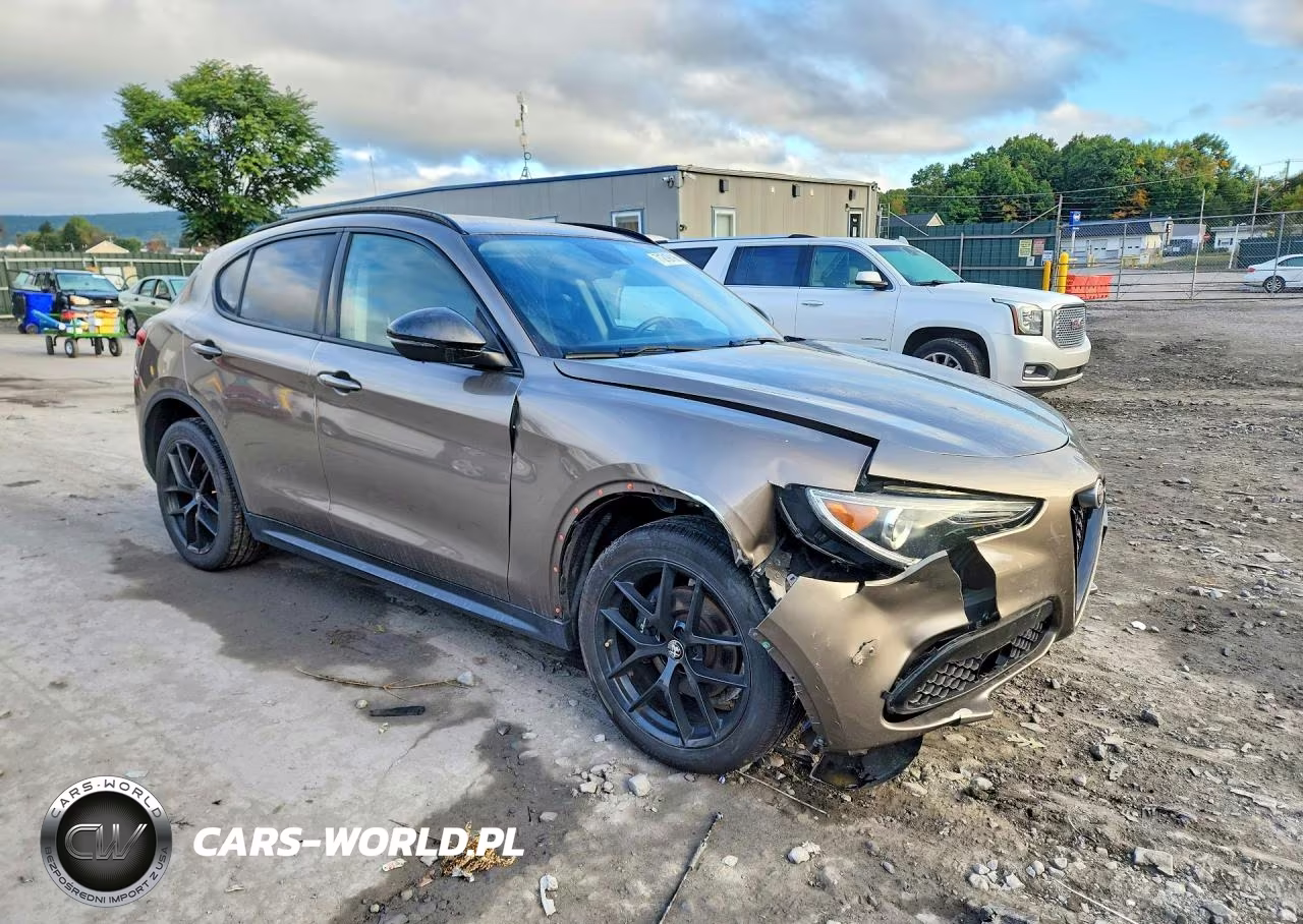 2019 Alfa Romeo Stelvio VIN:ZASPAKAN5K7C55925 - 4