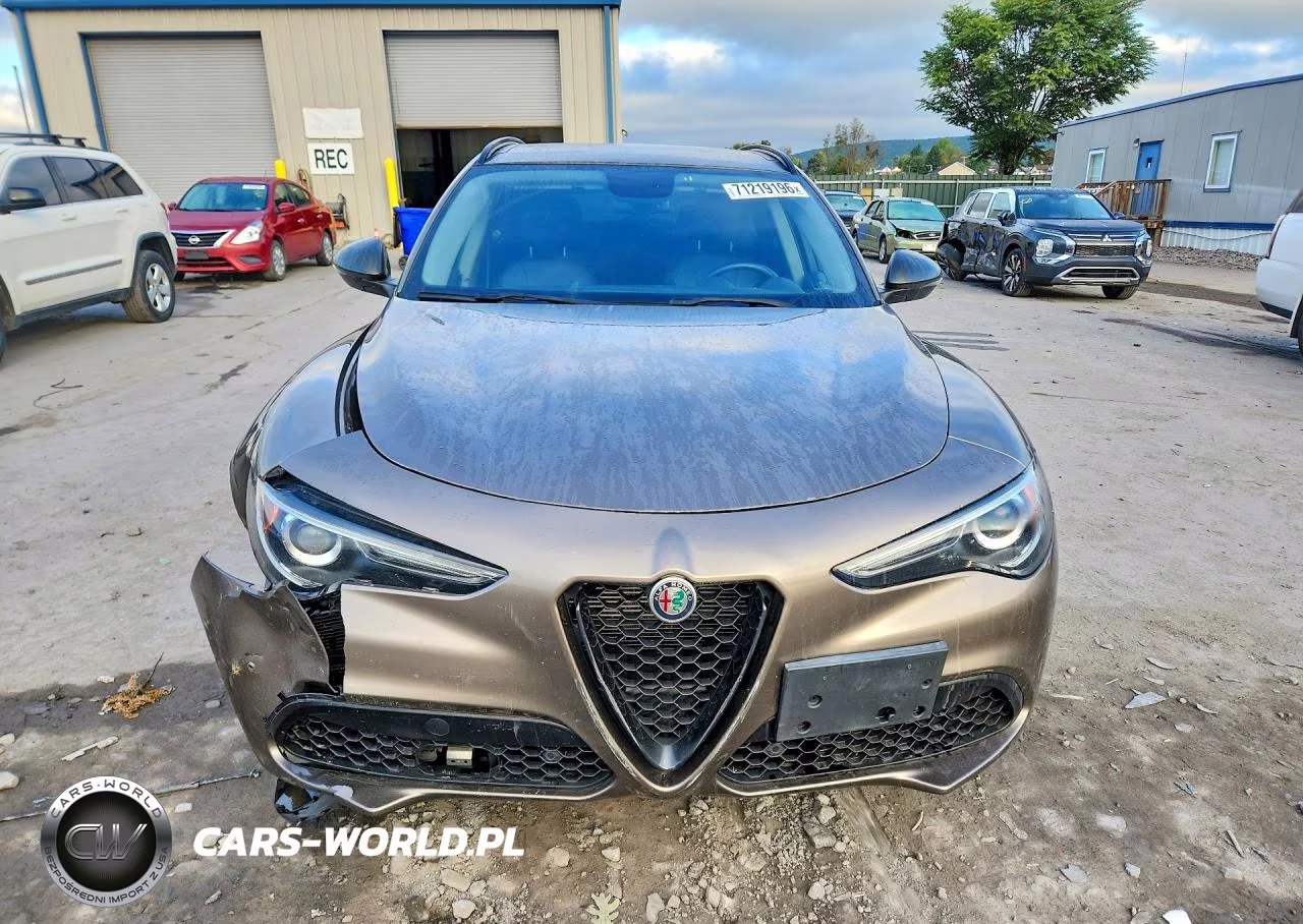 2019 Alfa Romeo Stelvio VIN:ZASPAKAN5K7C55925 - 5