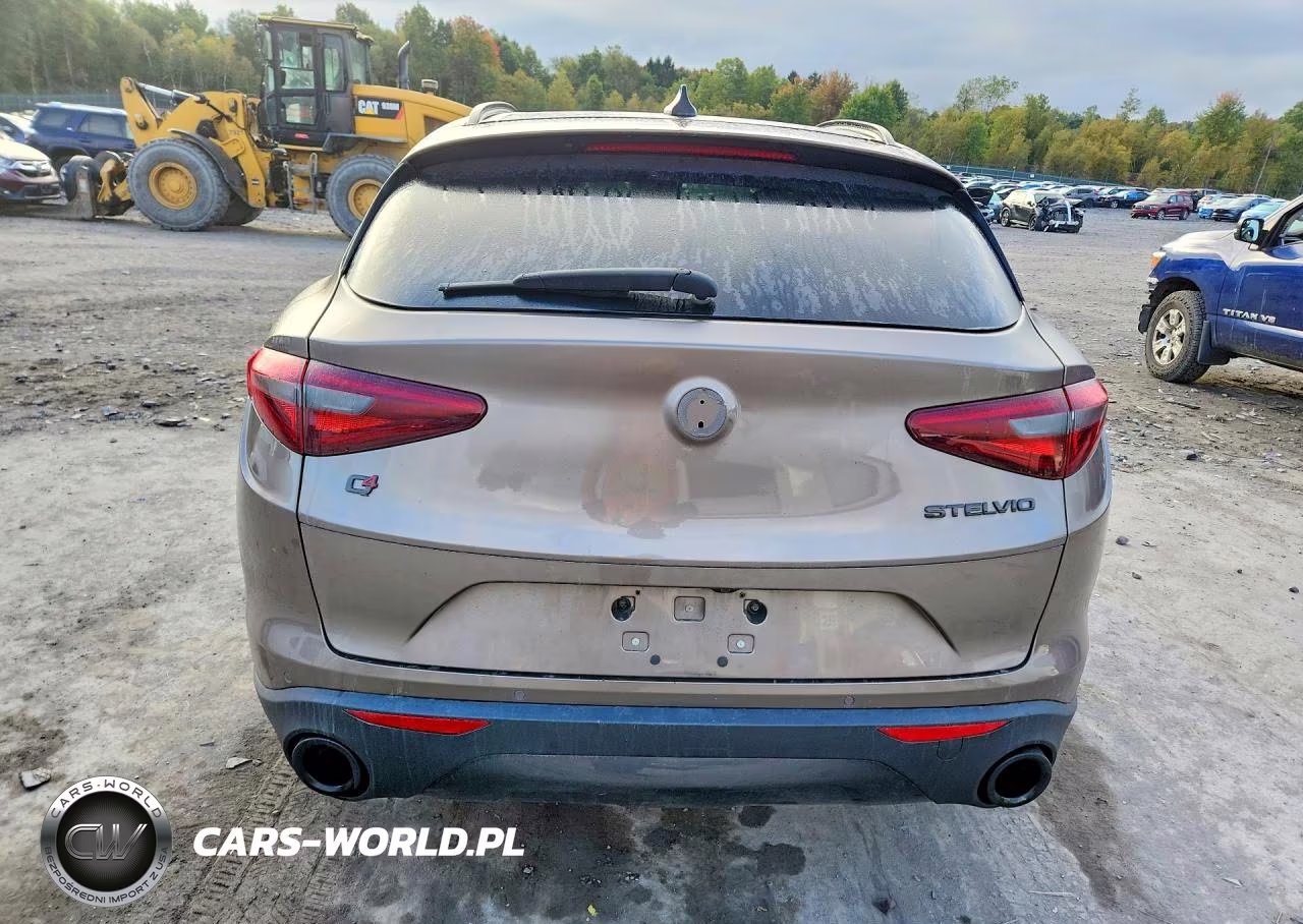 2019 Alfa Romeo Stelvio VIN:ZASPAKAN5K7C55925 - 6