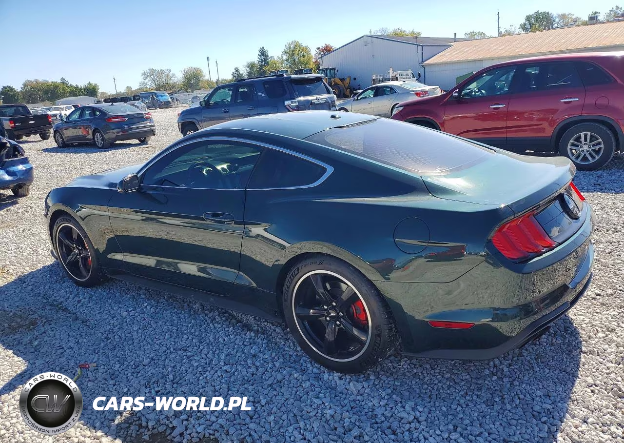 2019 Ford Mustang Bullitt VIN:1FA6P8K04K5501065 - 2