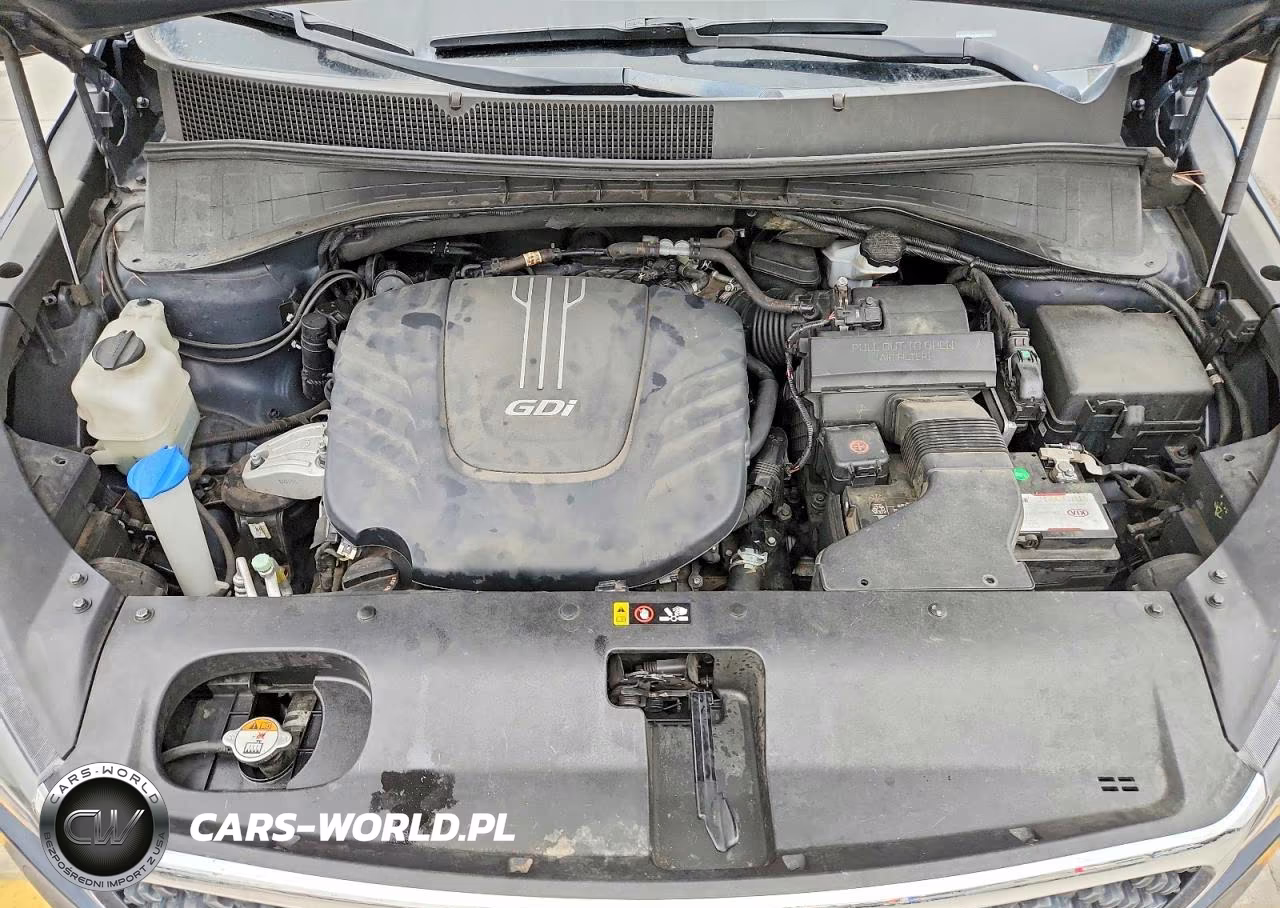 2017 Kia Sorento Lx V6 VIN:5XYPGDA53HG235591 - 12