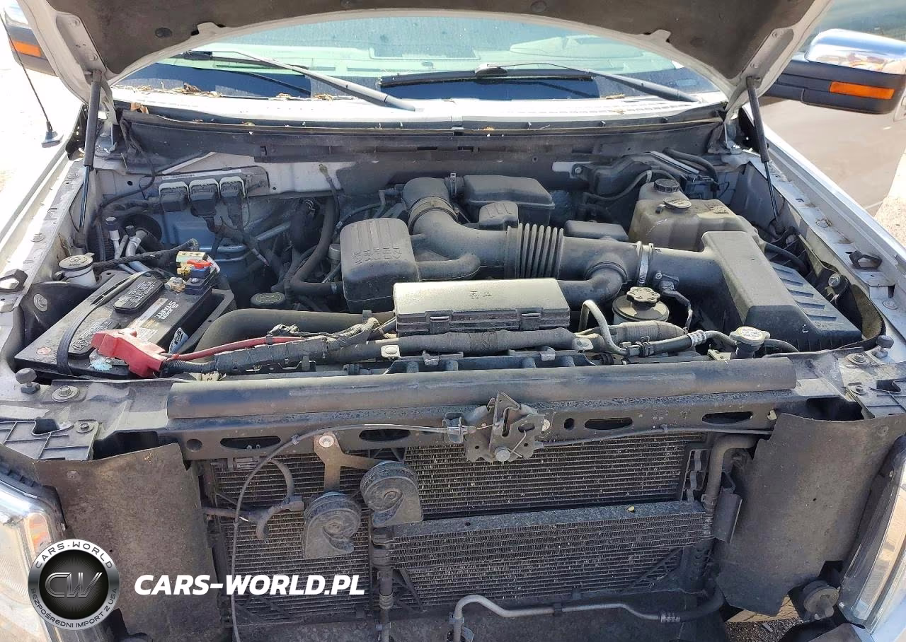 2010 Ford F150 Supercrew VIN:1FTFW1EV0AFD53744 - 11
