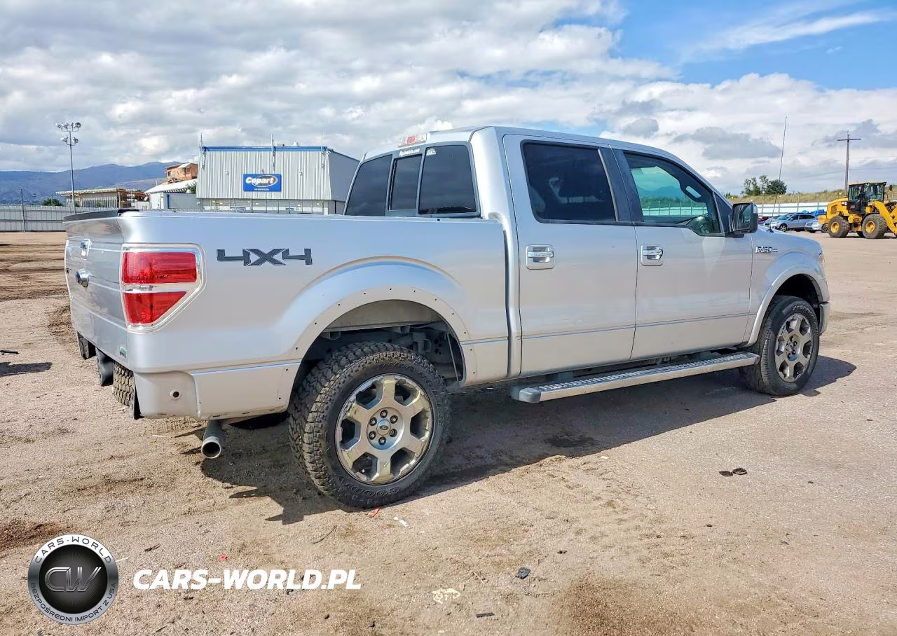 2010 Ford F150 Supercrew VIN:1FTFW1EV0AFD53744 - 3