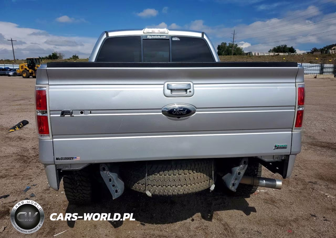 2010 Ford F150 Supercrew VIN:1FTFW1EV0AFD53744 - 6