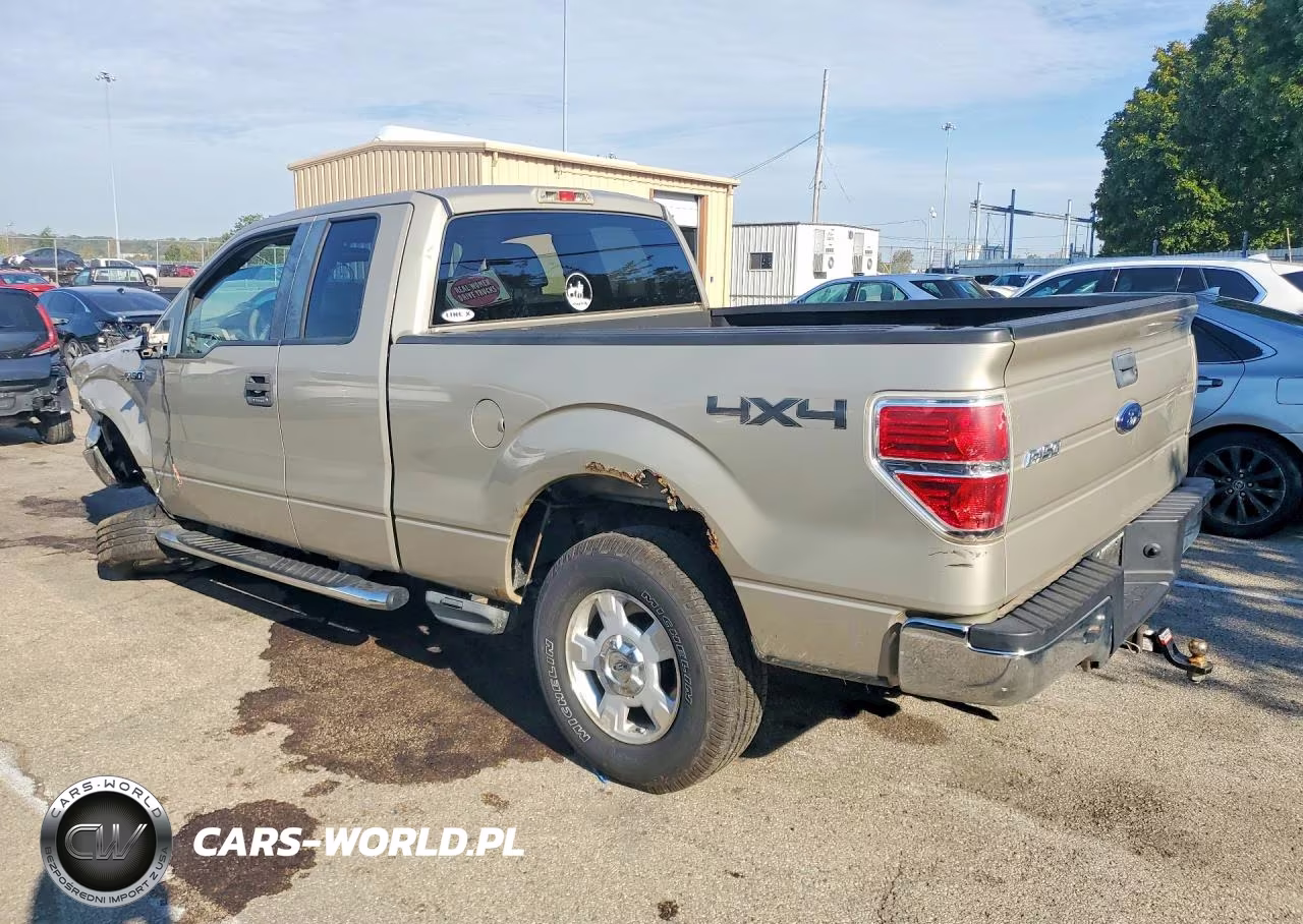2009 Ford F150 Super Cab VIN:1FTRX14869FB06729 - 2