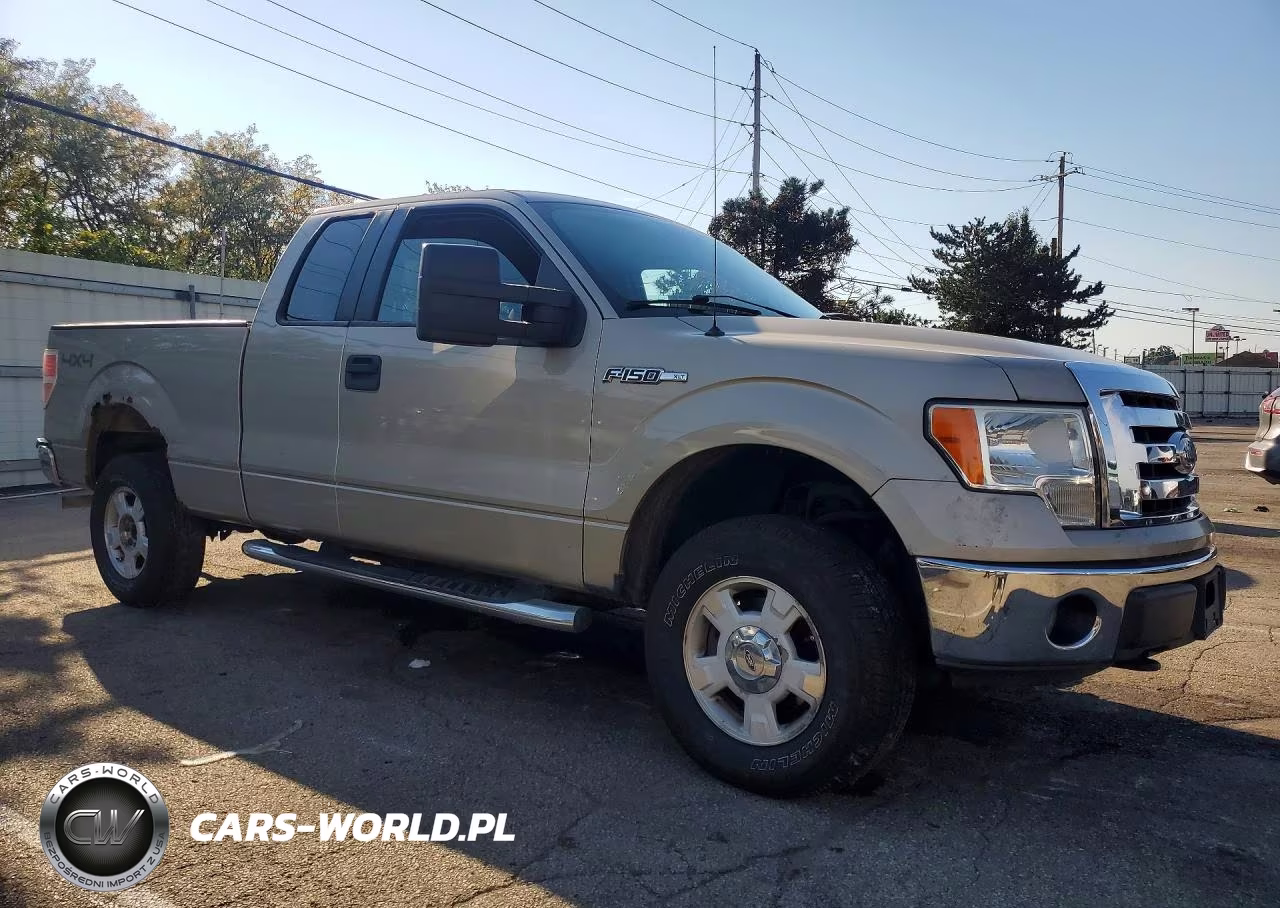 2009 Ford F150 Super Cab VIN:1FTRX14869FB06729 - 4