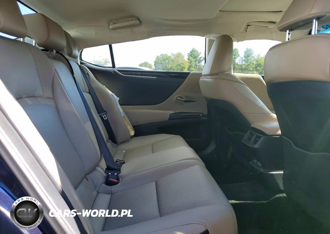 2020 Lexus Es 350 VIN:58ADZ1B13LU062898 - 10
