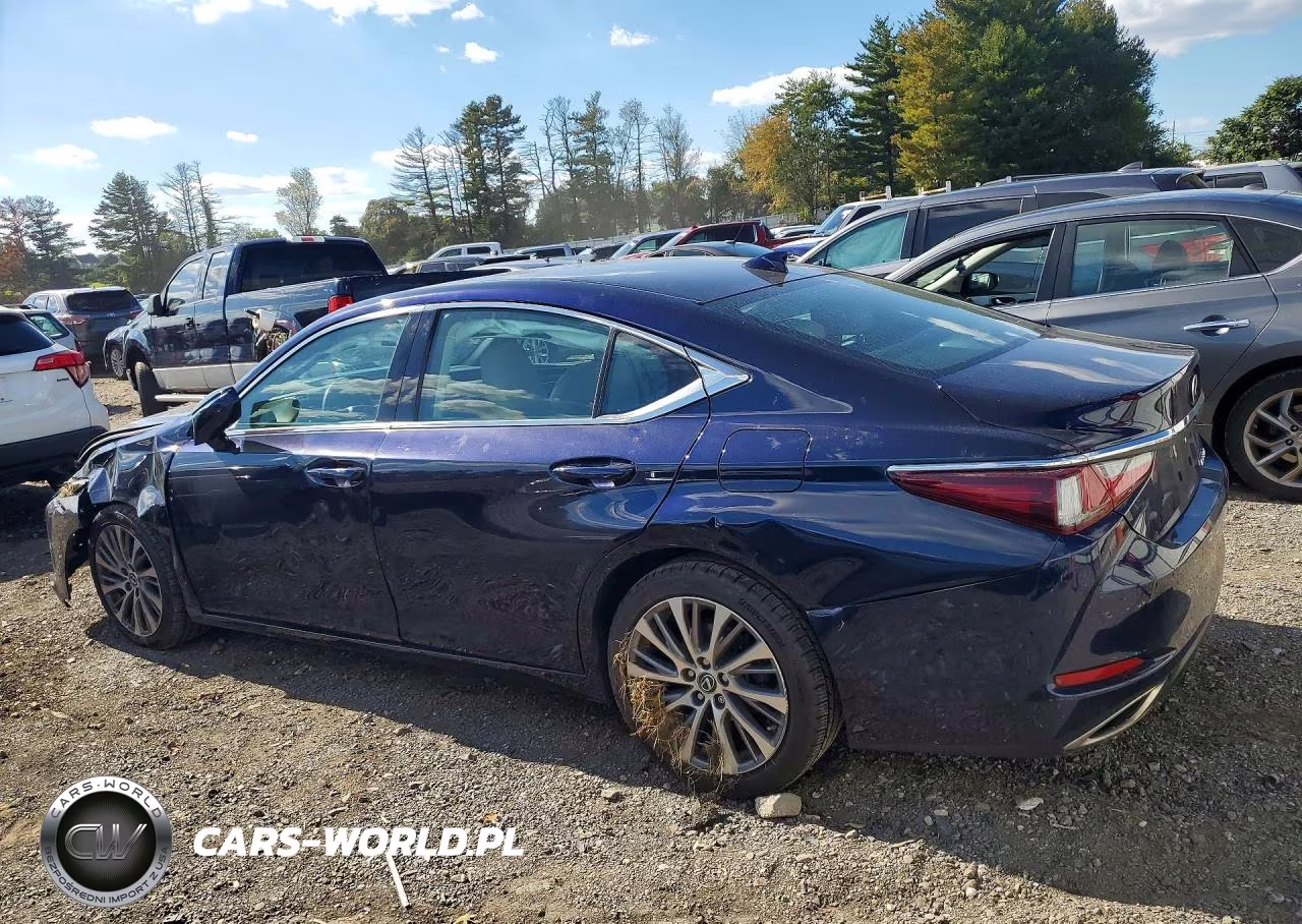 2020 Lexus Es 350 VIN:58ADZ1B13LU062898 - 2