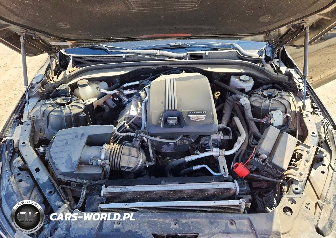 2023 Cadillac Ct5 Premium Luxury VIN:1G6DN5RK2P0144361 - 11
