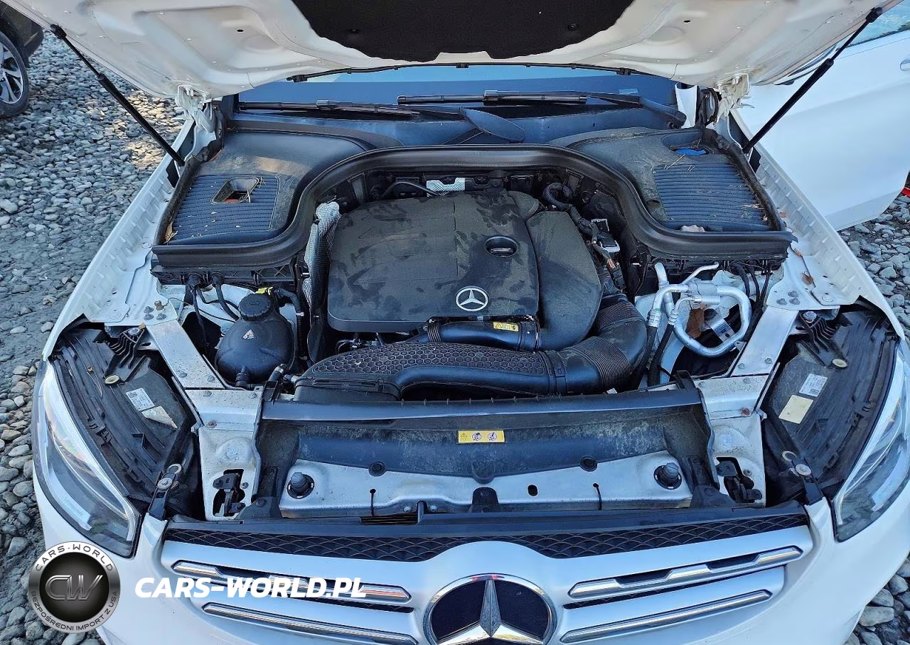 2020 Mercedes-Benz Glc 300 4Matic VIN:W1N0G8EB3LF815923 - 11