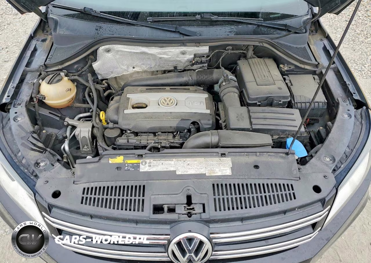 2014 Volkswagen Tiguan S VIN:WVGBV3AX8EW598488 - 12