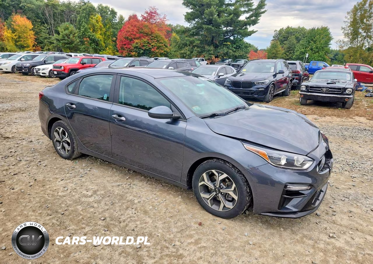 2021 Kia Forte Lxs VIN:3KPF24ADXME333509 - 4