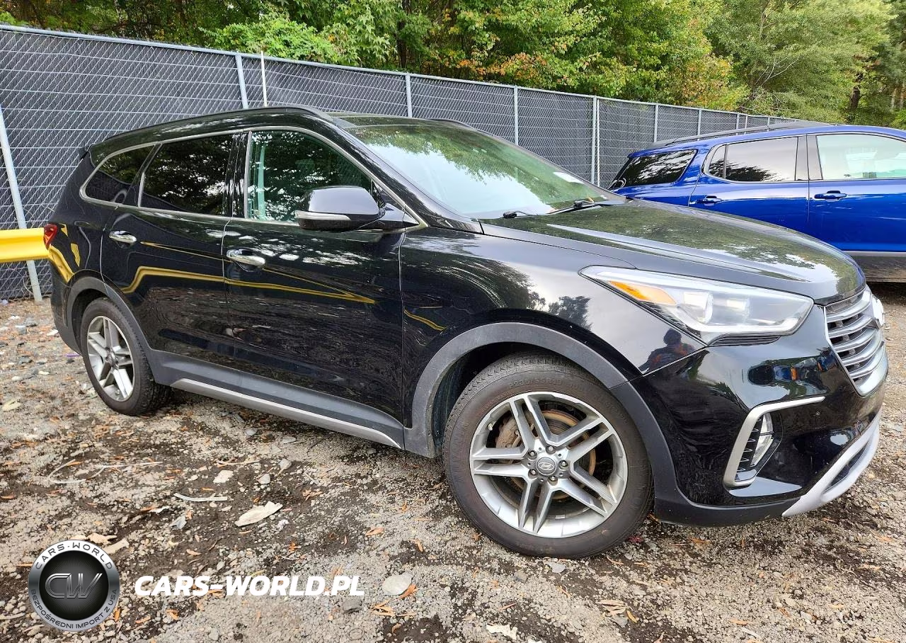 2017 Hyundai Santa Fe Limited Ultimate VIN:KM8SRDHF4HU236567 - 4
