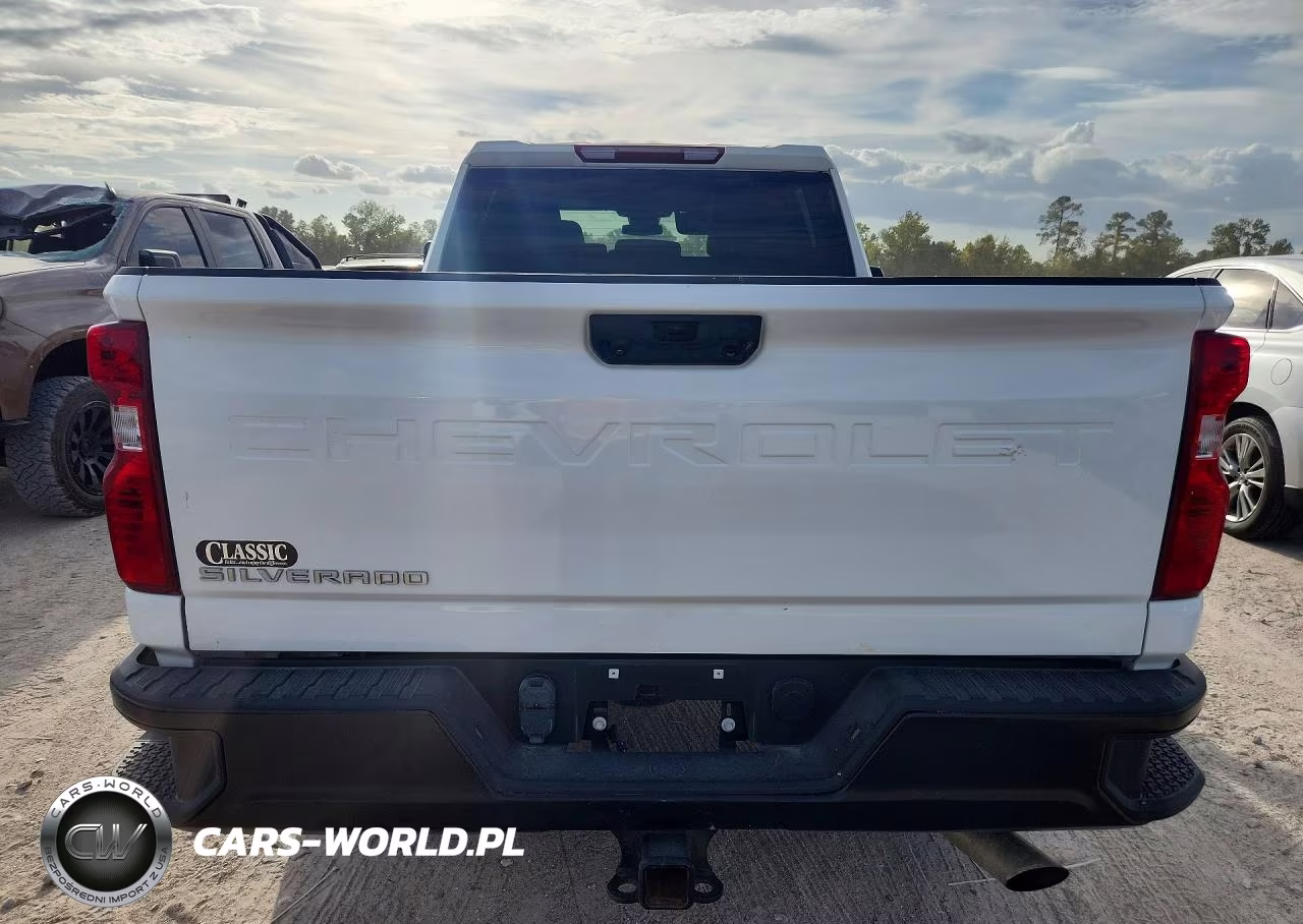 2025 Chevrolet Silverado C2500 Heavy Duty VIN:2GC1ALE74S1178395 - 6