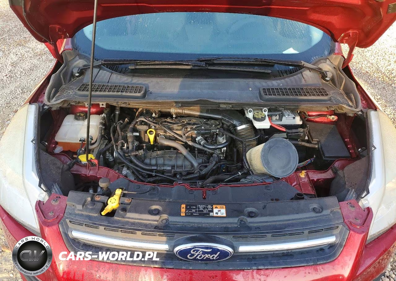 2014 Ford Escape Se VIN:1FMCU9GX1EUC34104 - 12