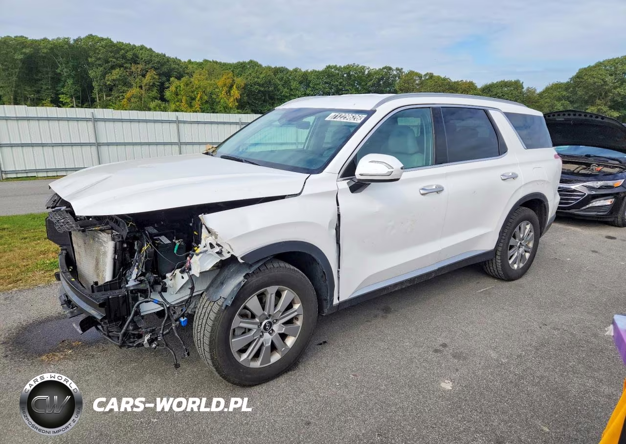 2025 Hyundai Palisade Sel VIN:KM8R24GE5SU829101 - 1