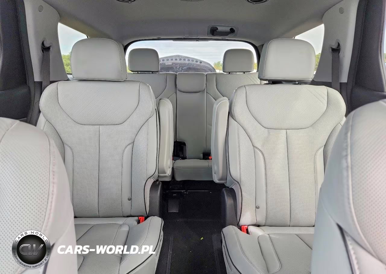 2025 Hyundai Palisade Sel VIN:KM8R24GE5SU829101 - 10