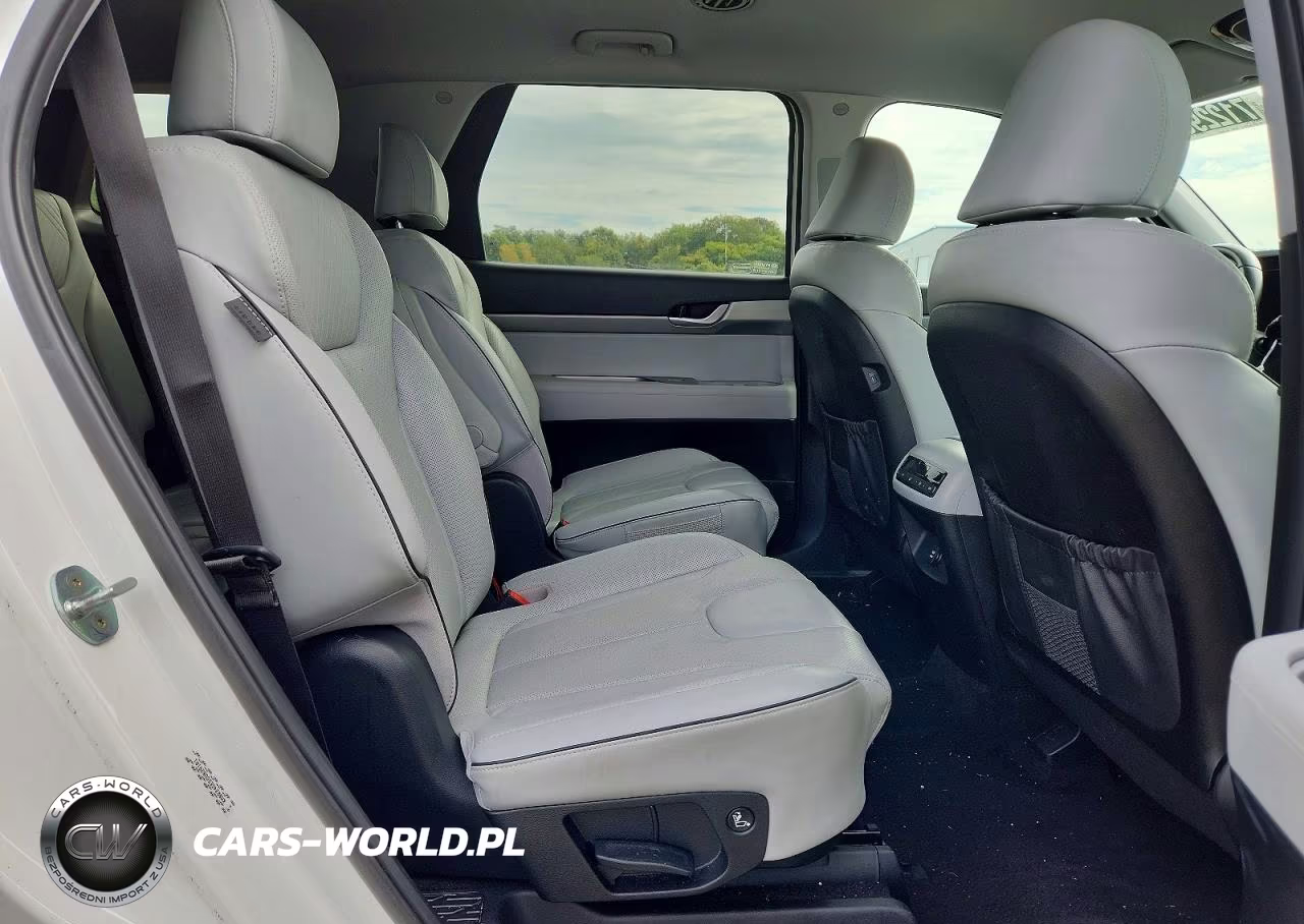 2025 Hyundai Palisade Sel VIN:KM8R24GE5SU829101 - 11