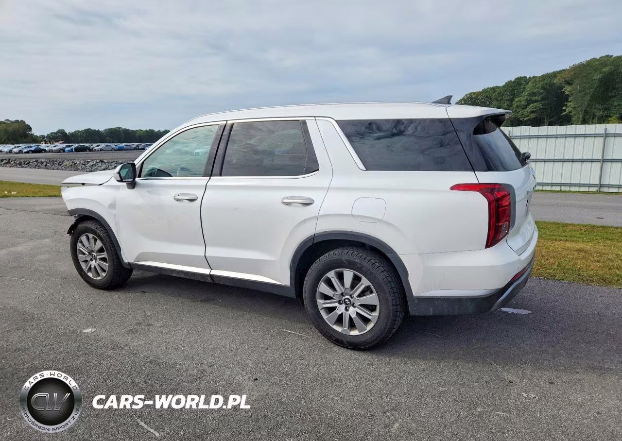2025 Hyundai Palisade Sel VIN:KM8R24GE5SU829101 - 2