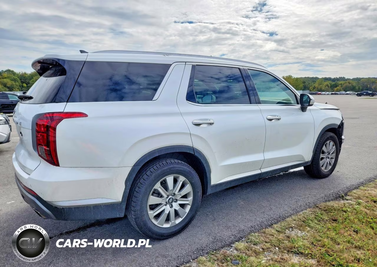 2025 Hyundai Palisade Sel VIN:KM8R24GE5SU829101 - 3