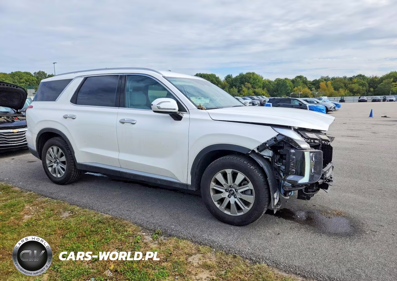 2025 Hyundai Palisade Sel VIN:KM8R24GE5SU829101 - 4