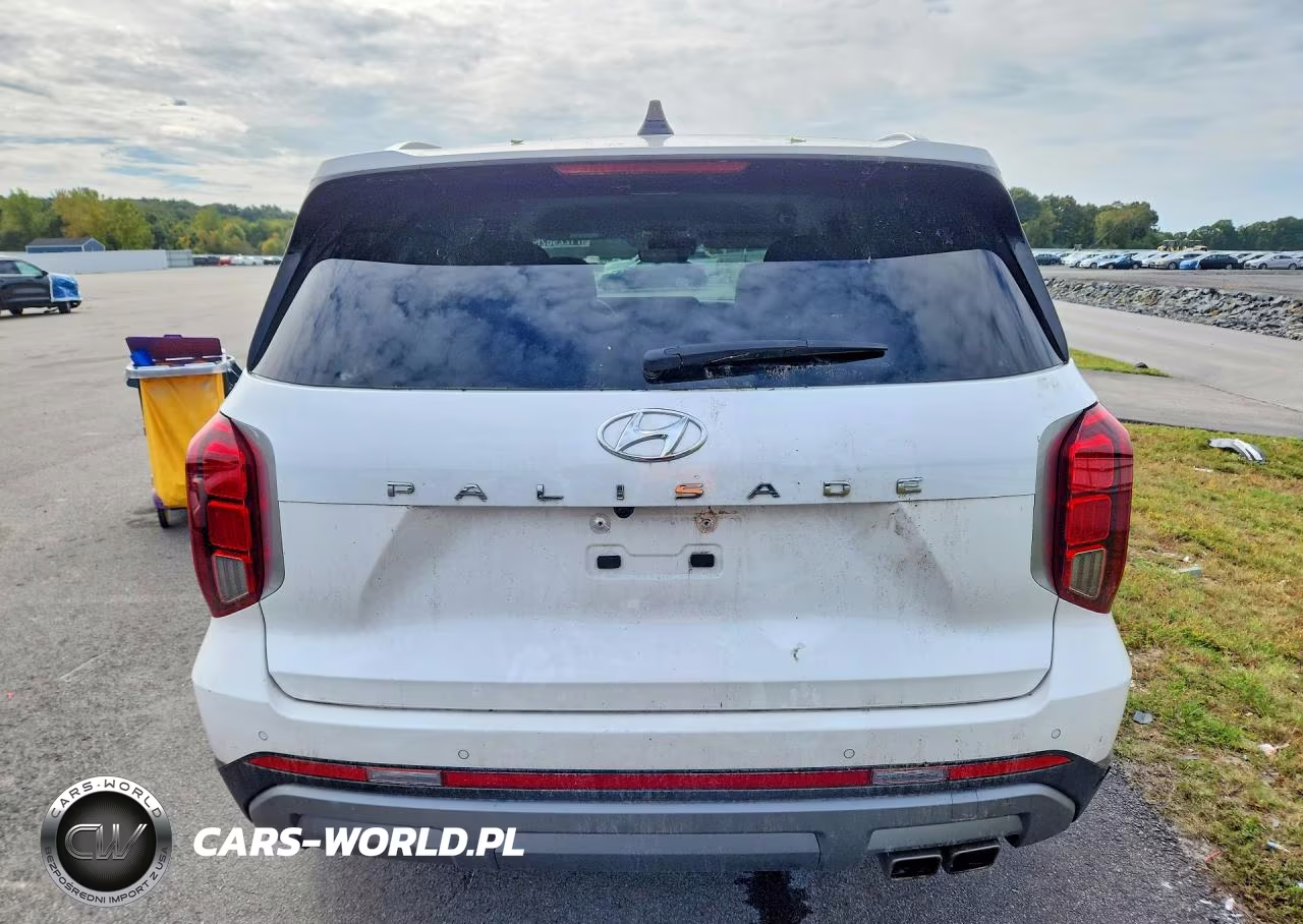 2025 Hyundai Palisade Sel VIN:KM8R24GE5SU829101 - 6