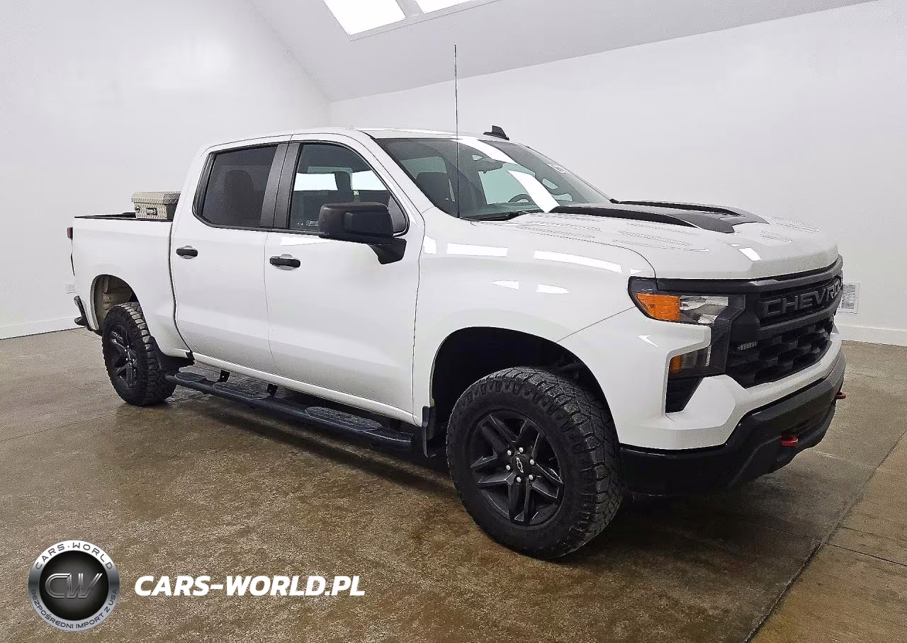 2022 Chevrolet Silverado K1500 Trail Boss Custom VIN:3GCPDCEK1NG549594 - 4