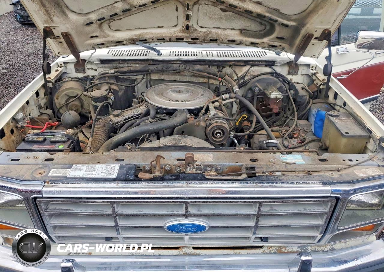 1986 Ford F150 Lariat VIN:1FTEX15H0GKA67489 - 11