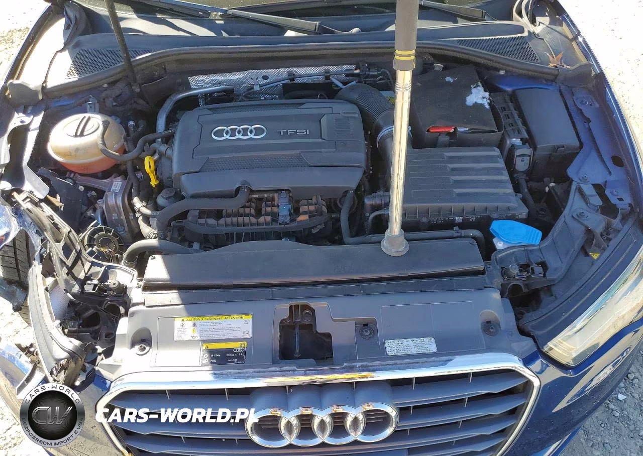 2016 Audi A3 Premium VIN:WAUA7GFFXG1090862 - 11