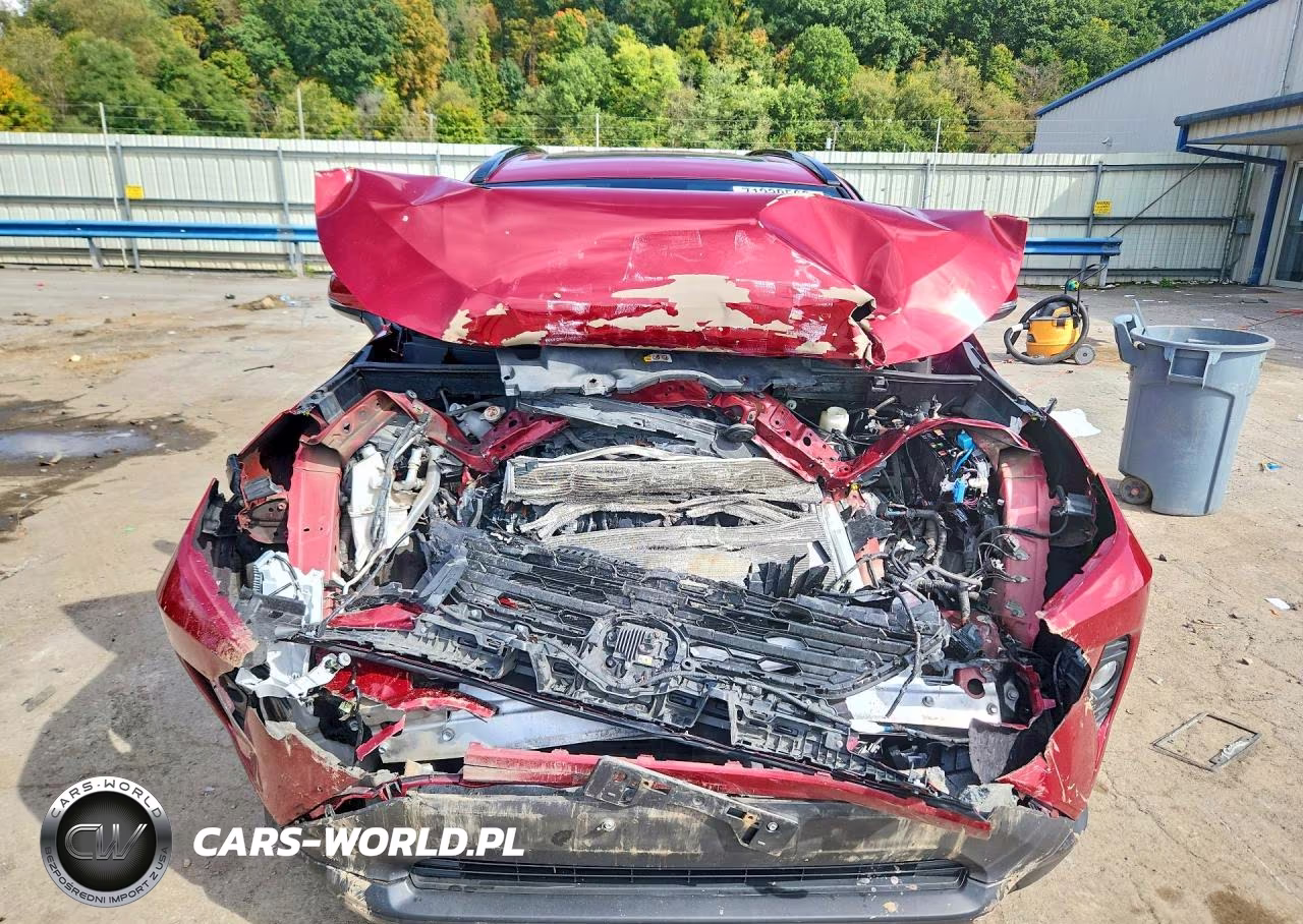 2019 Toyota Rav4 Xle VIN:2T3P1RFV4KW079951 - 5