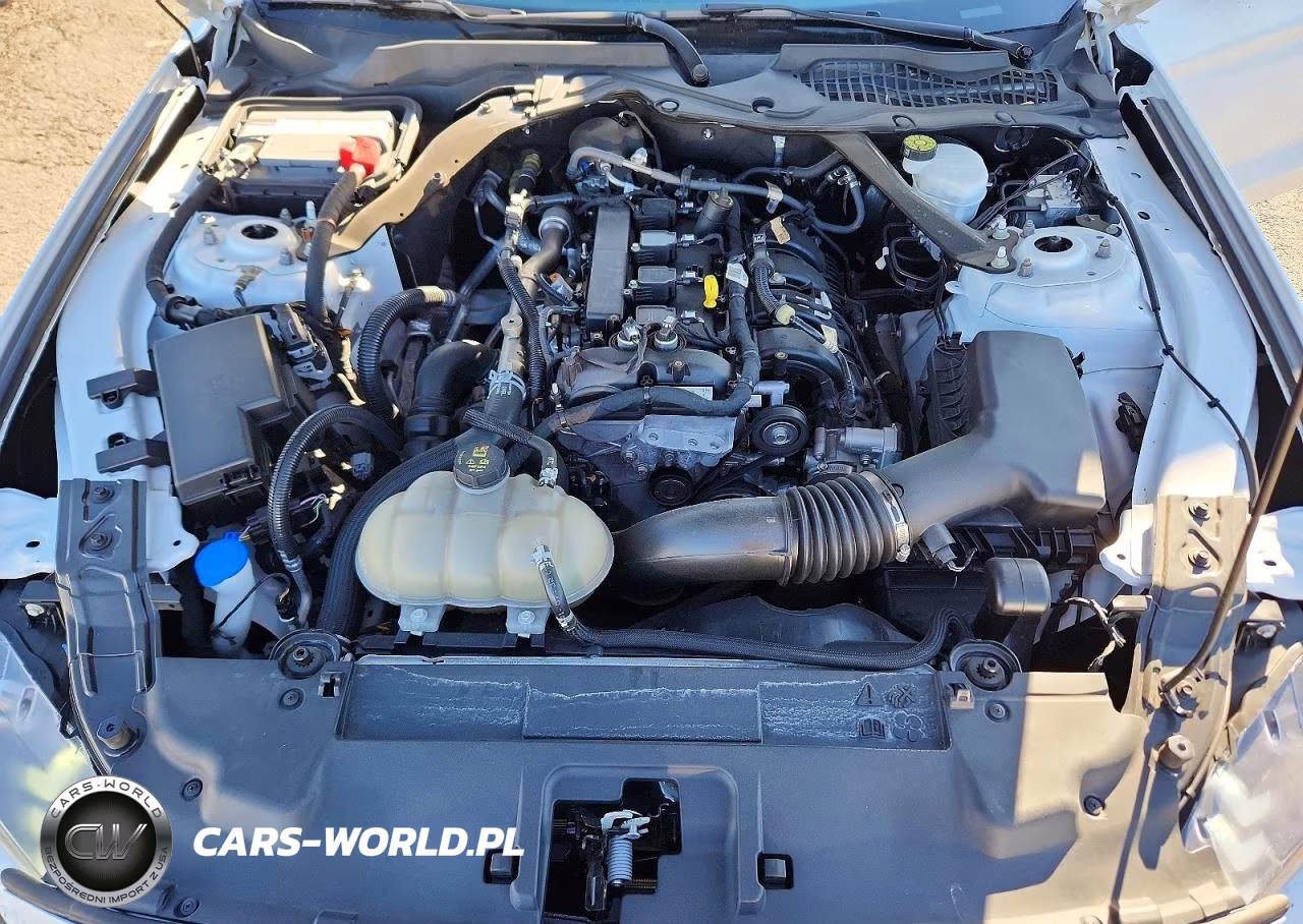 2023 Ford Mustang VIN:1FATP8UH8P5100602 - 11
