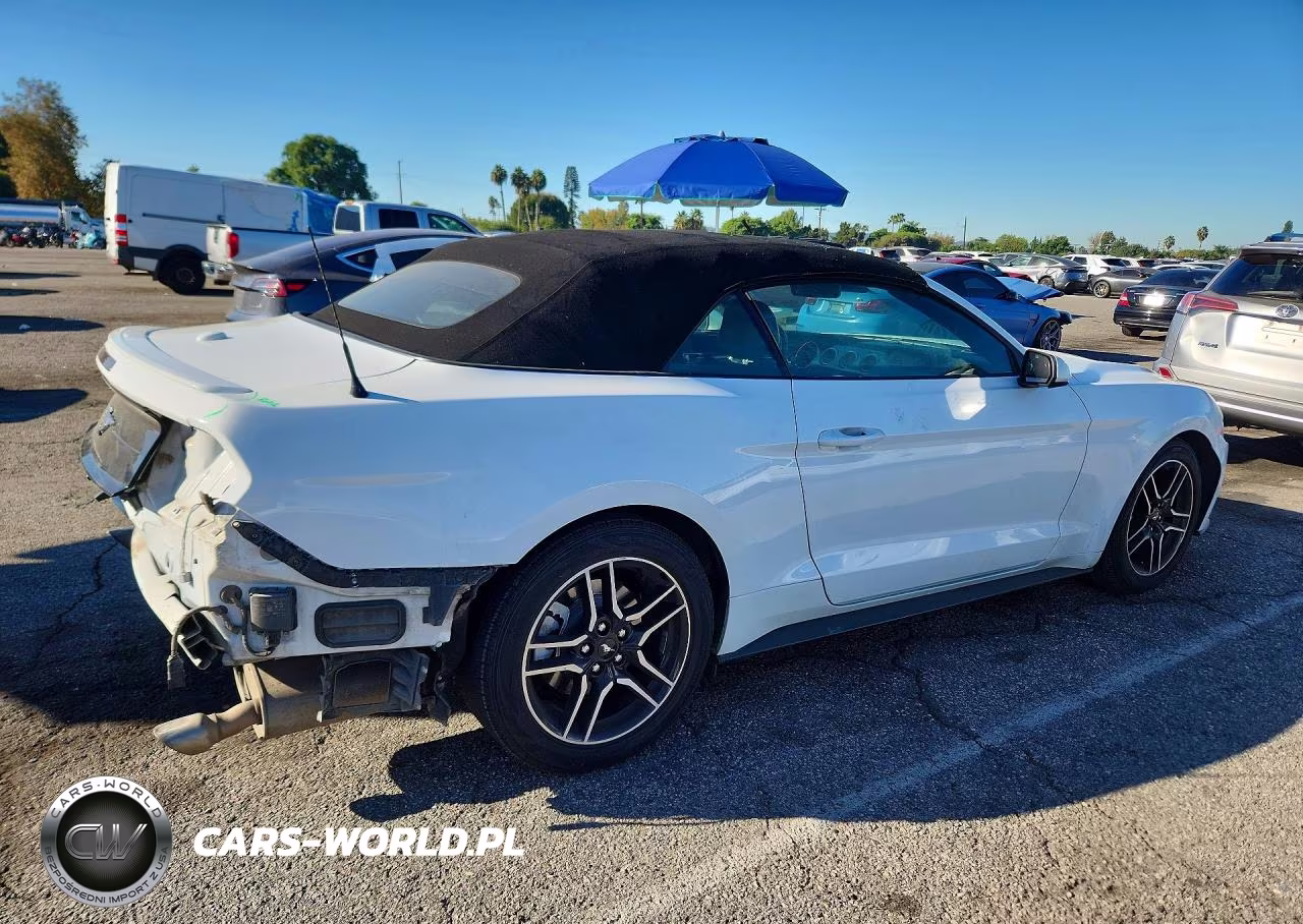 2023 Ford Mustang VIN:1FATP8UH8P5100602 - 3