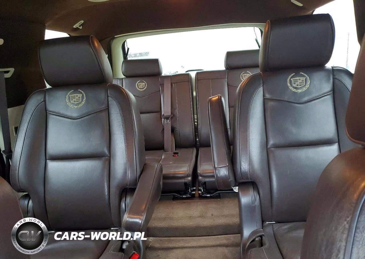 2011 Cadillac Escalade Platinum VIN:1GYS3DEF5BR267020 - 10