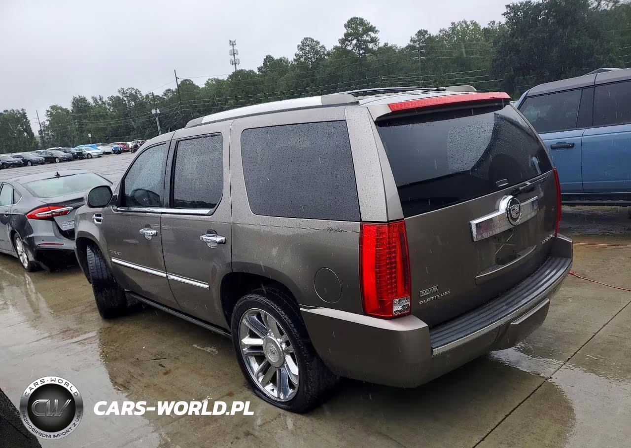 2011 Cadillac Escalade Platinum VIN:1GYS3DEF5BR267020 - 2
