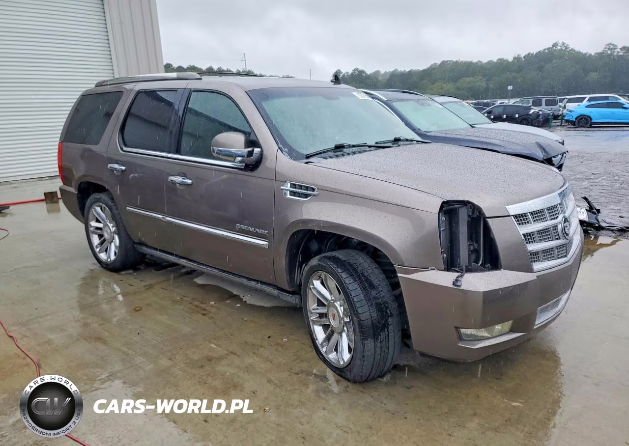 2011 Cadillac Escalade Platinum VIN:1GYS3DEF5BR267020 - 4