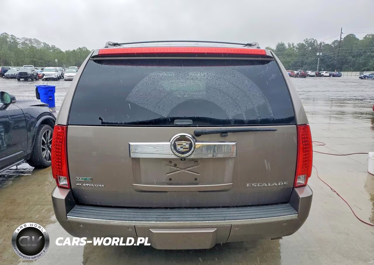 2011 Cadillac Escalade Platinum VIN:1GYS3DEF5BR267020 - 6